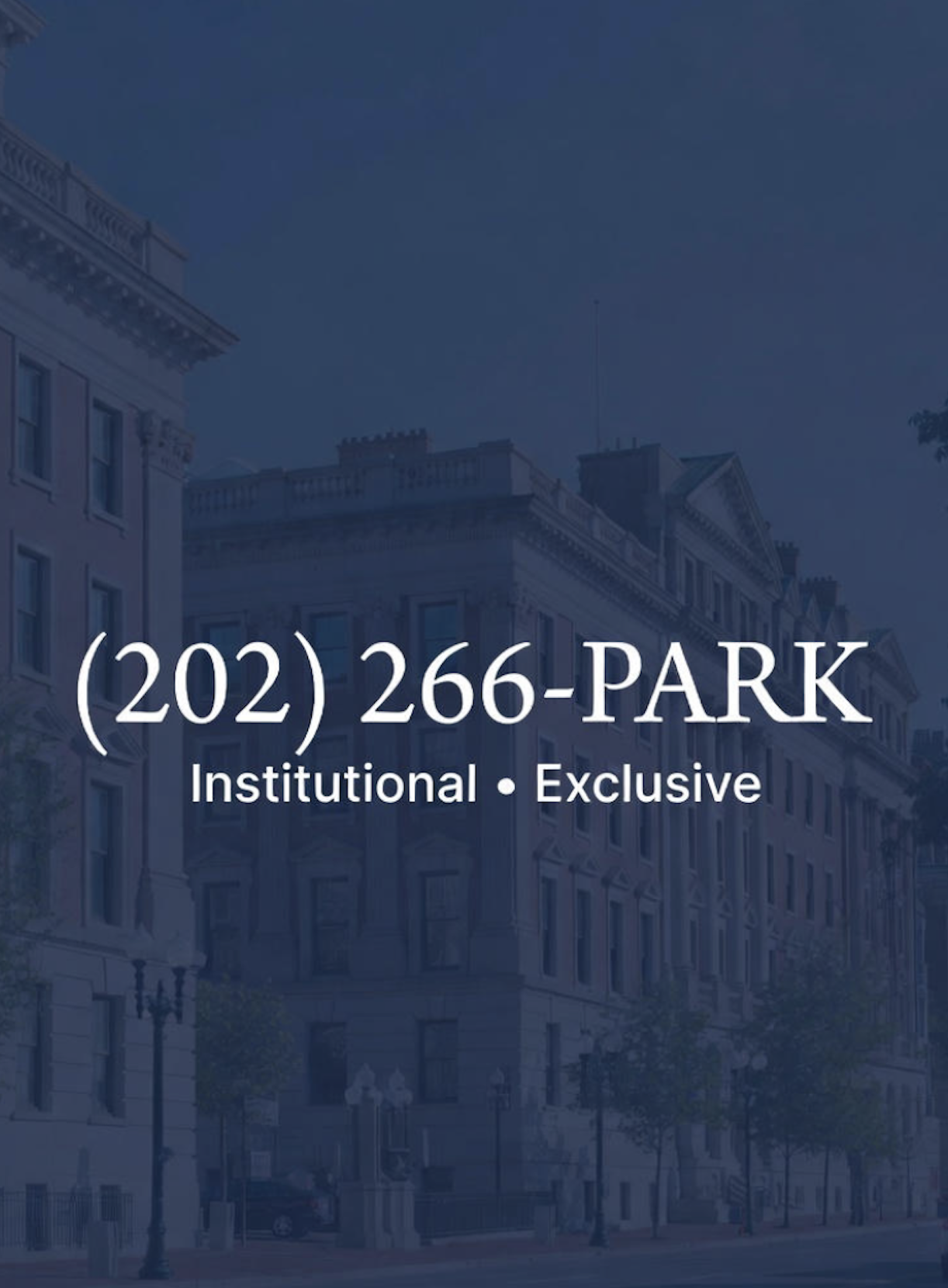 Vanity number flyer 3